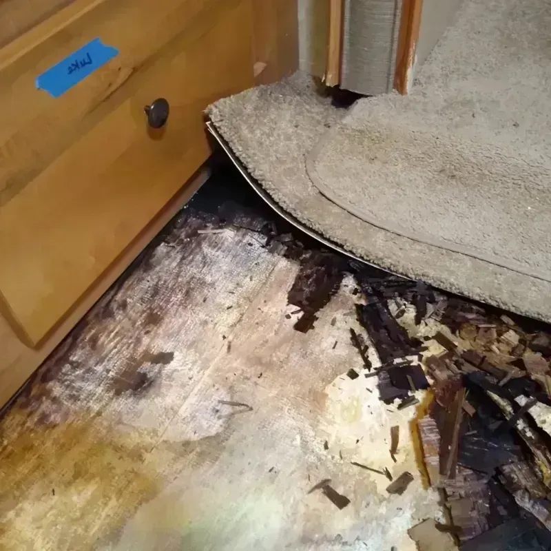 Wood Floor Water Damage in Kingfisher County, OK